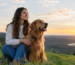 A Year Behind the Leash and the Work of Healing